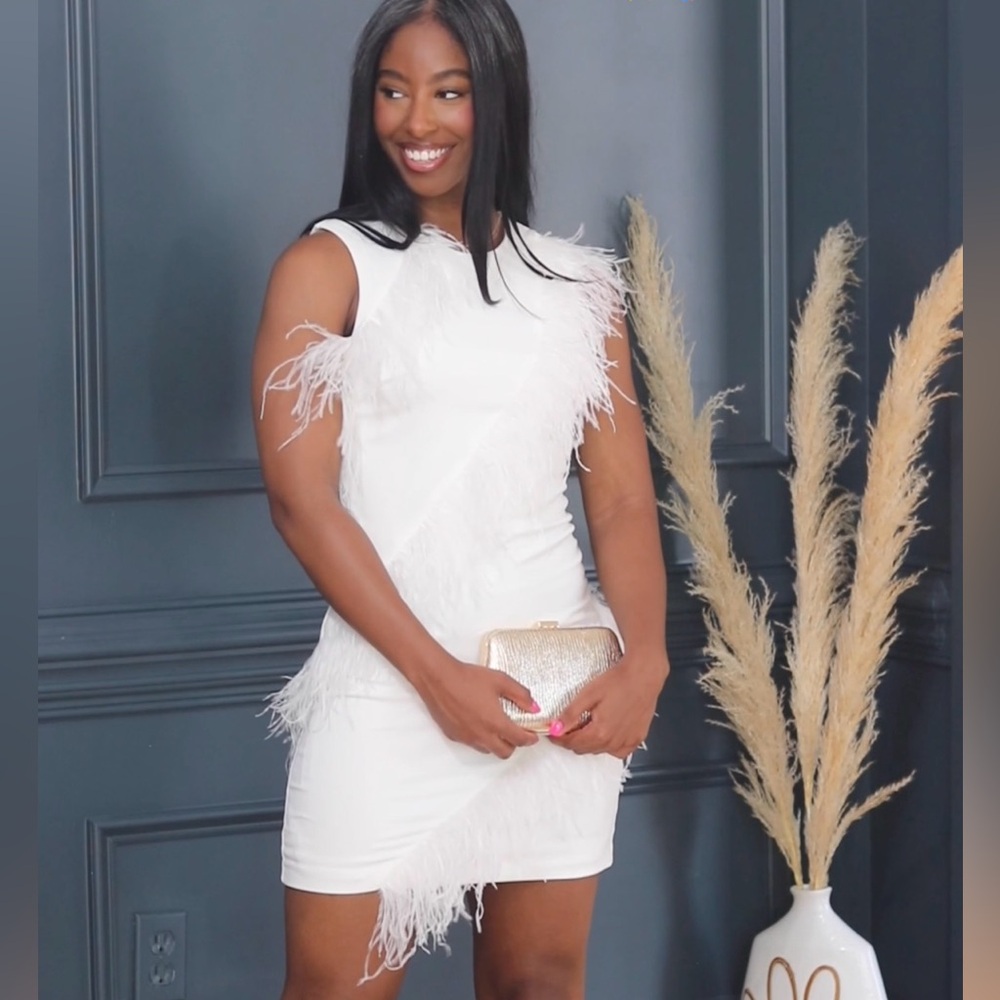 Hutch Sleeveless Feather Dress